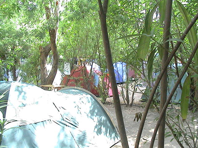 Camping Calvi Corse 01