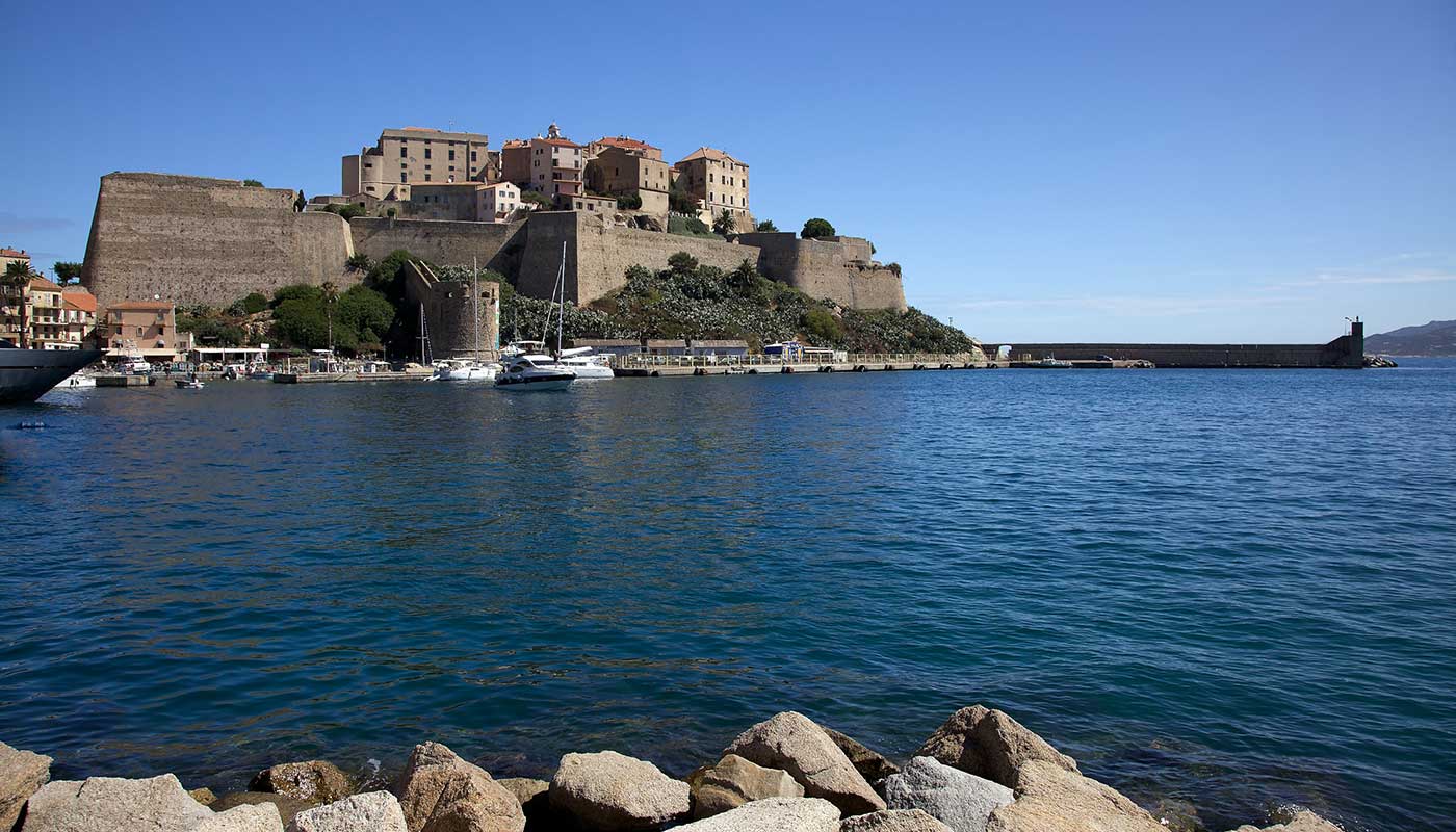 Calvi01